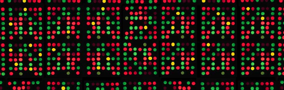 array-cgh-method